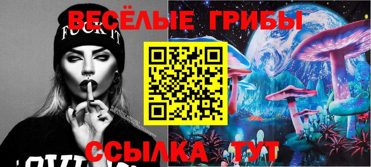 Псилоцибиновые грибы мицелий Дедовск