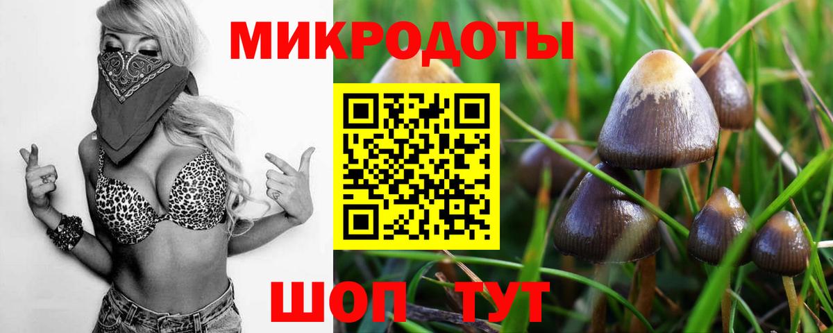 Псилоцибиновые грибы Psilocybe  Вход с VPN  где можно купить   Дедовск 